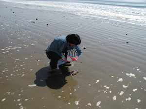 pt reyes crab.JPG.jpg